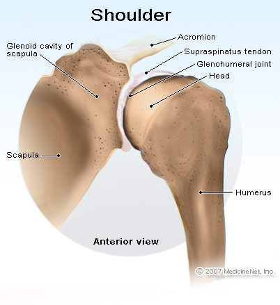 Image result for image of shoulder dislocation