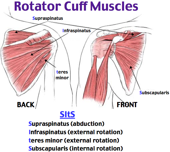 Rotator Cuff Tendonitis - Dr. Groh